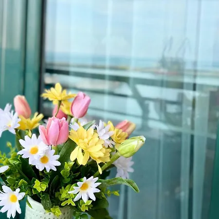 Dream Sea Apartament *